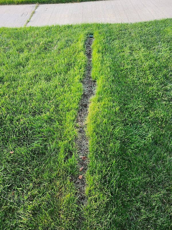 Maximum Landscaping Services photo 2