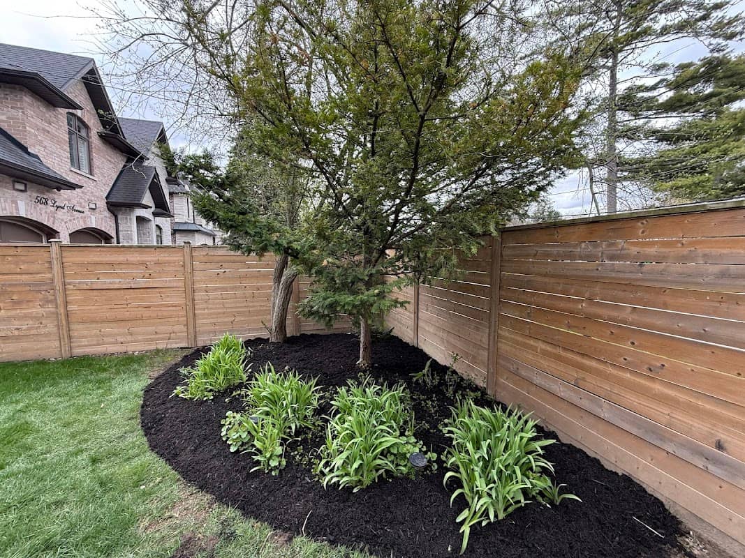 MD Landscaping photo 4