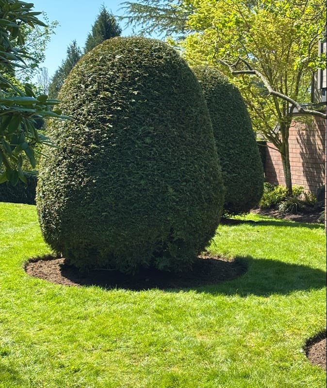 Meridian Landscaping project photo