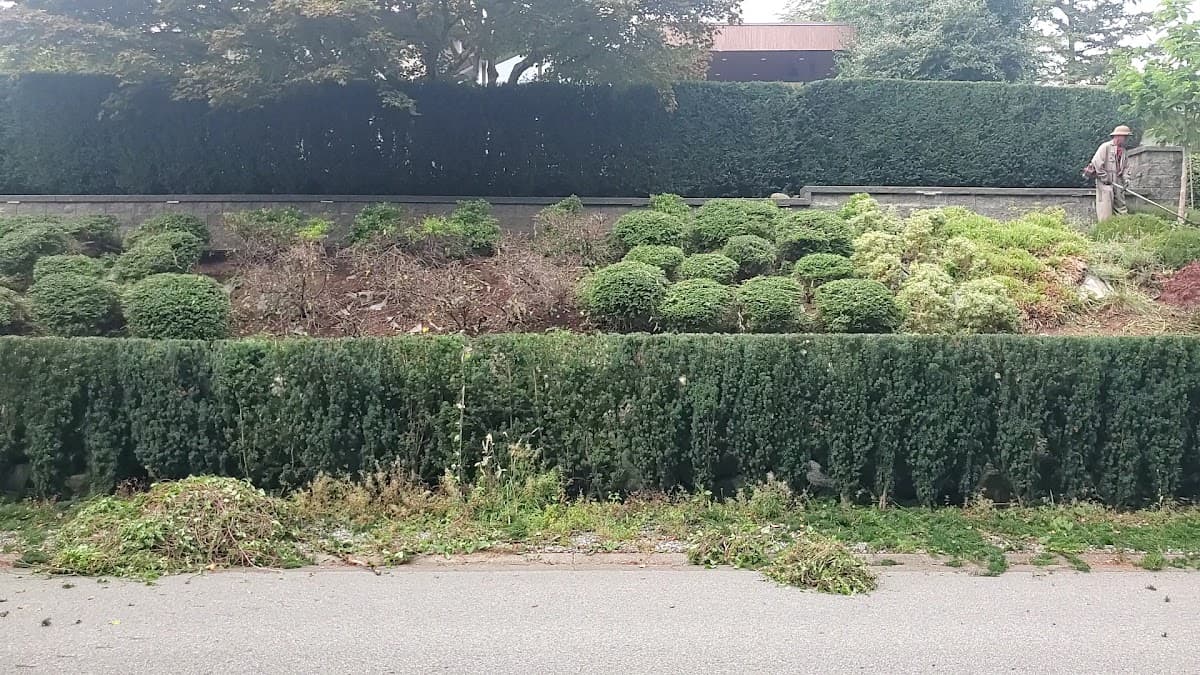 Michael Landscaping Ltd. photo 3