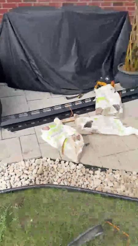 MJ Landscapers photo 3