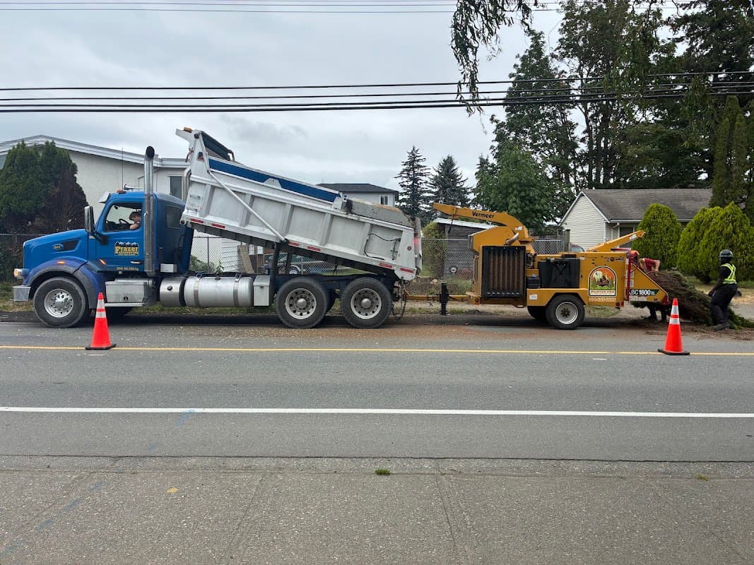 Mountain View Tree Service Inc. photo 2