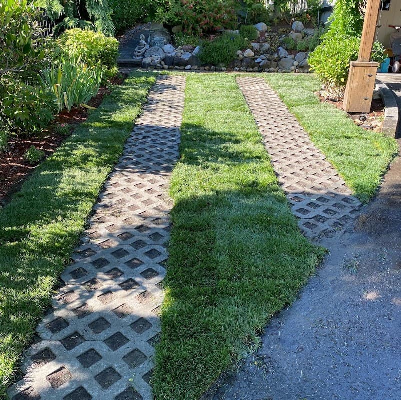 Mr. Lawn photo 3