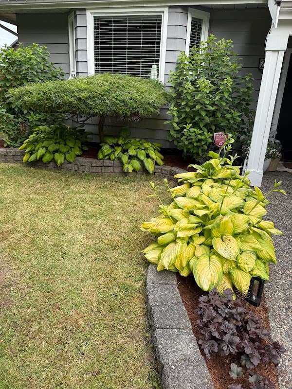 Ngo Gardener Solution photo 2