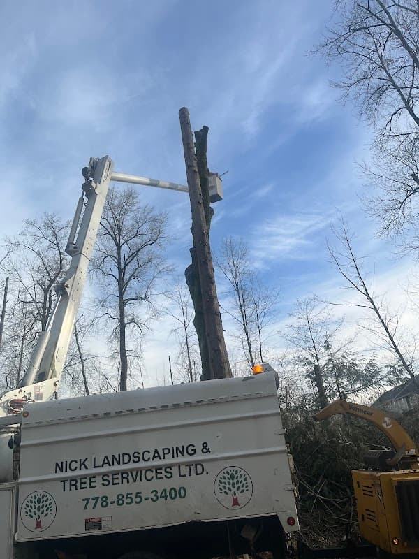 Nick Landscaping & Tree-Cutting Service Ltd photo 2
