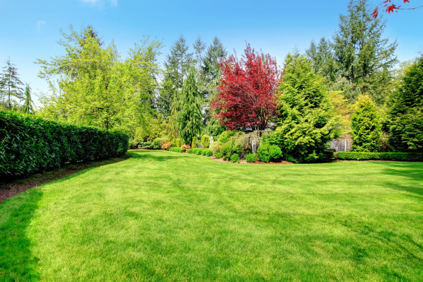 Nick Landscaping & Tree-Cutting Service Ltd photo 5