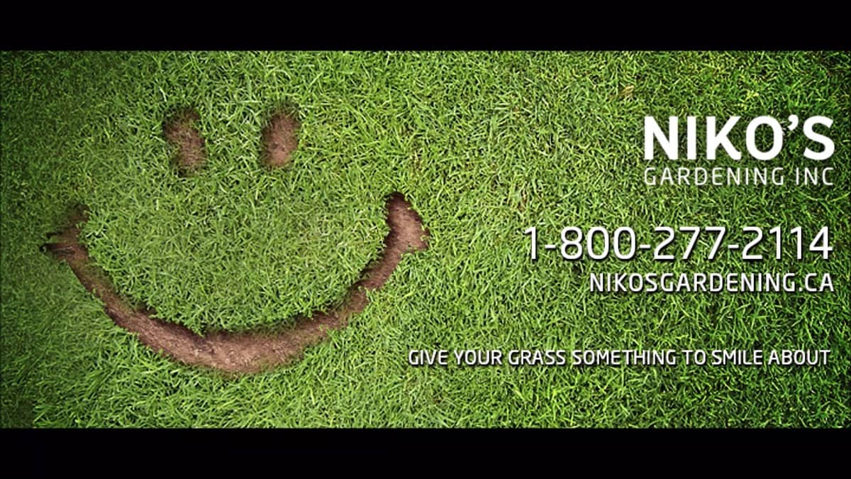 Niko's Gardening Inc. photo 3
