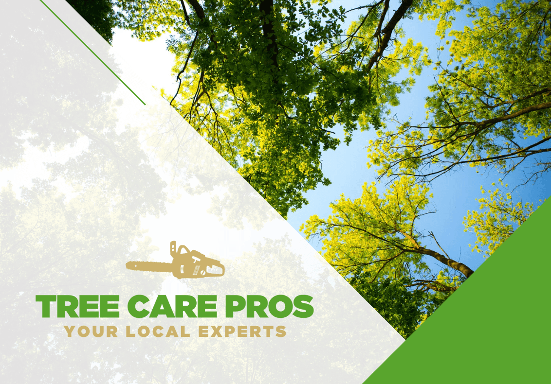 North Van Tree Care Pros Inc. project photo