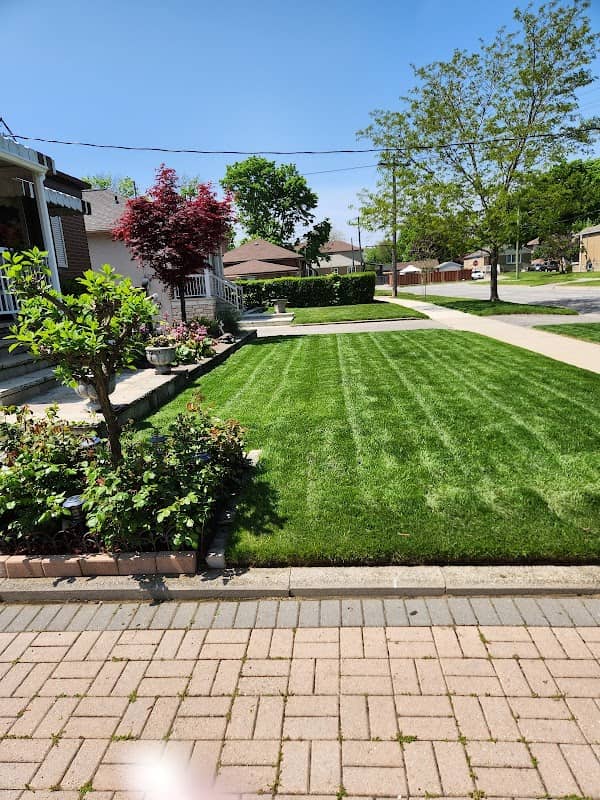 Nutri-Lawn - Mississauga Lawn Care photo 2