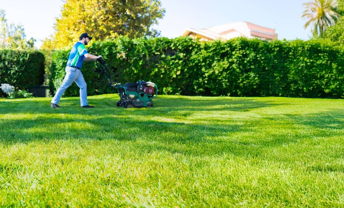 Nutri-Lawn - Mississauga Lawn Care photo 3