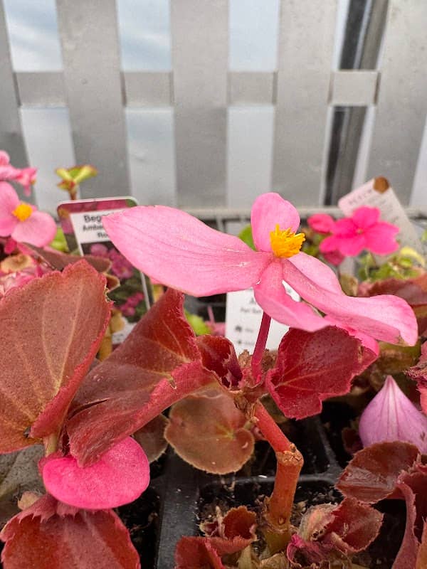 O'Flaherty's Landscaping & Garden Centre photo 2