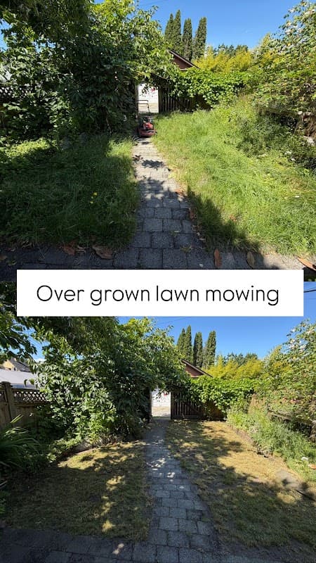 Orange bear lawn care photo 2