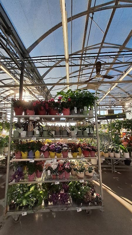 Outdoor Garden Centre at The Home Depot photo 2