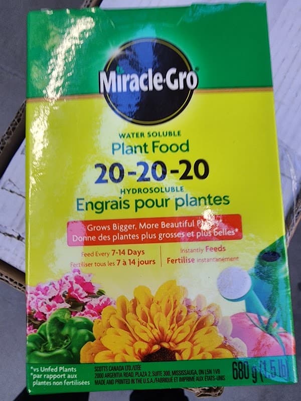 Outdoor Garden Centre at The Home Depot photo 4