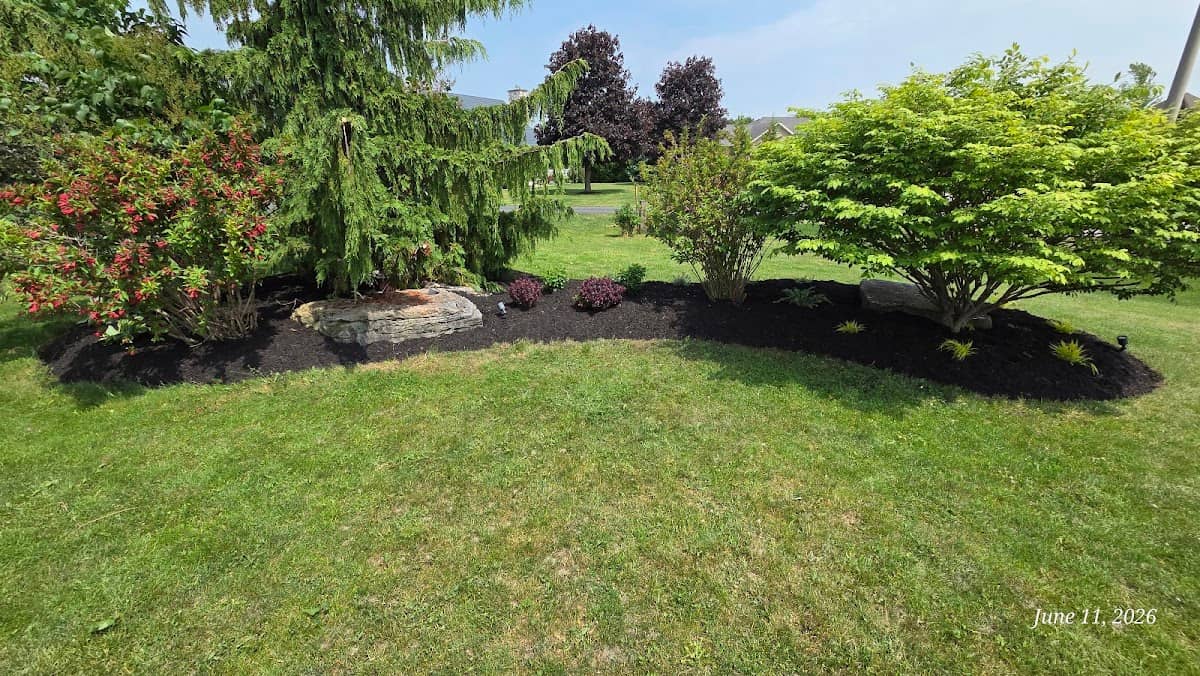 P&R Classic Landscaping photo 4