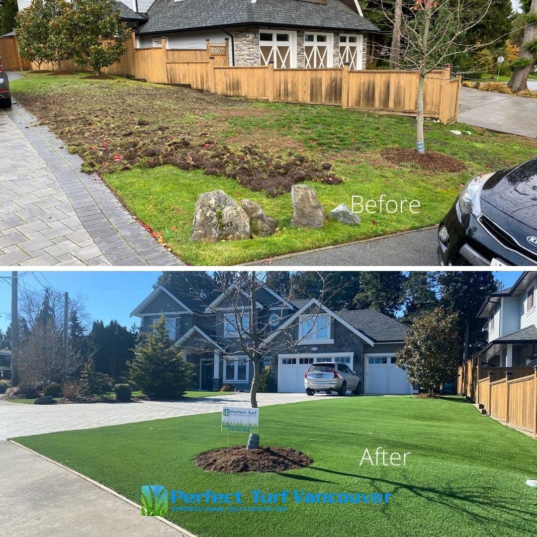 Perfect Turf Vancouver photo 4