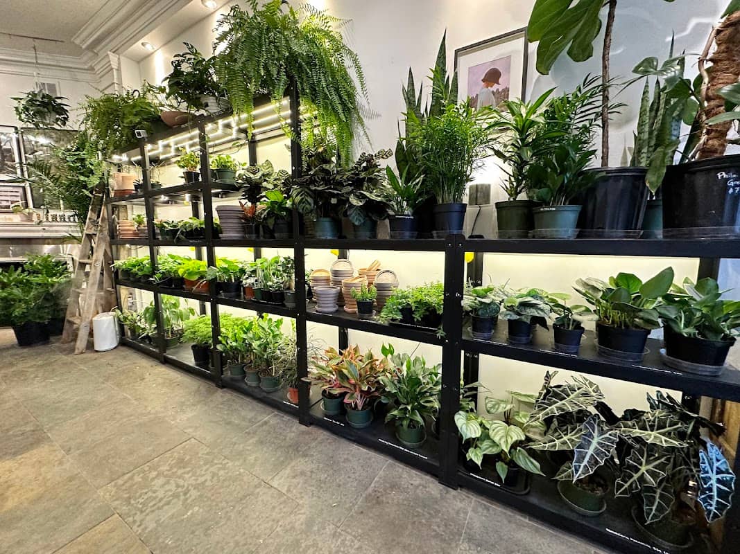 Plant Society photo 4