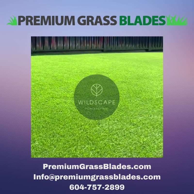 Premium Grass Blades photo 3