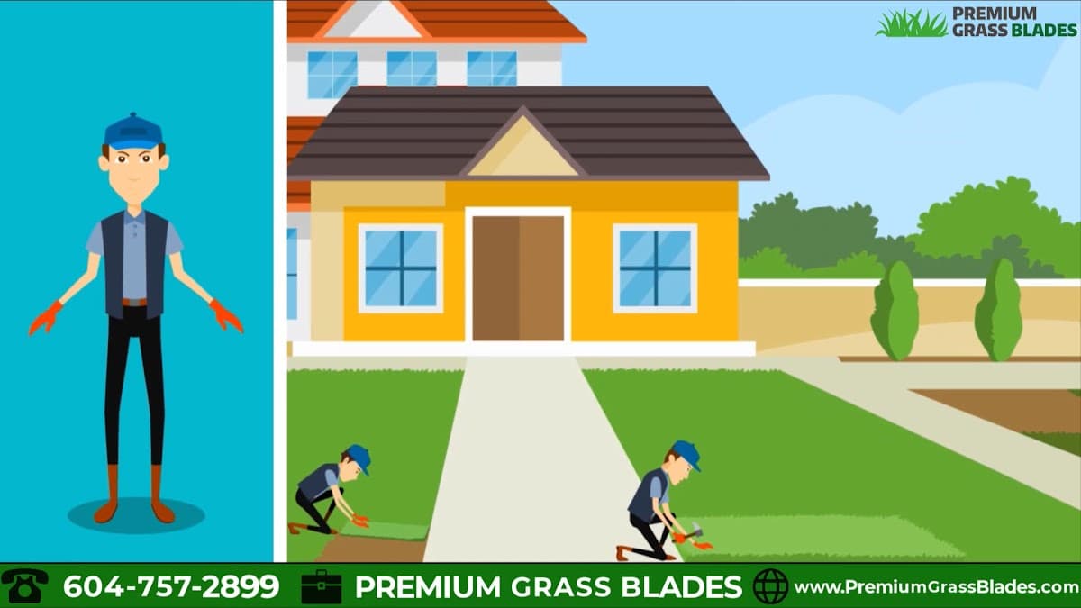 Premium Grass Blades photo 5