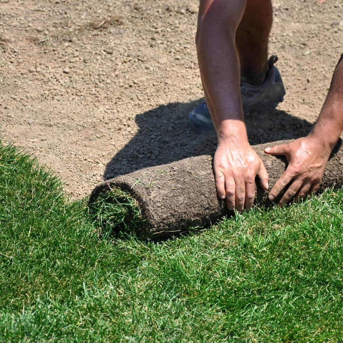 Primrose Landscaping & Snow Removal Ltd. photo 4