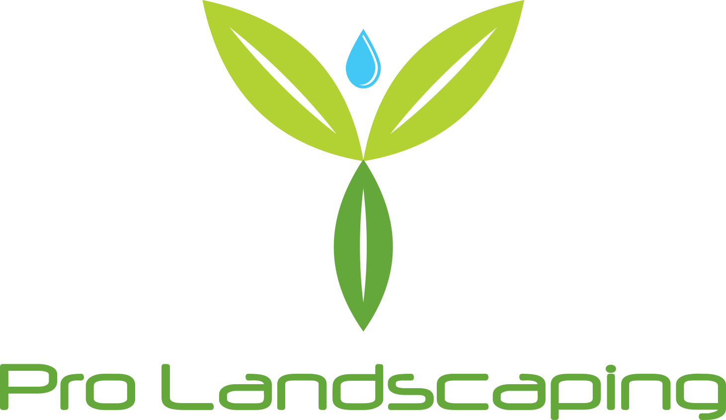 Pro Landscaping photo 3
