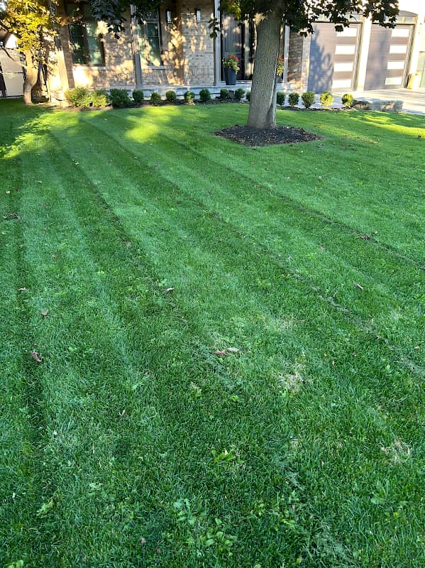 PureGreen Lawn Care photo 2
