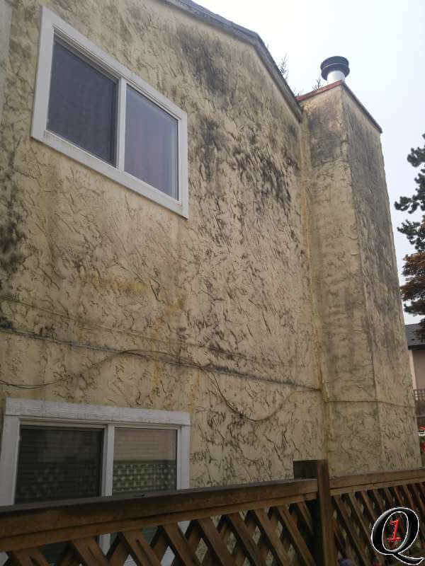 Quality One Home Services photo 2