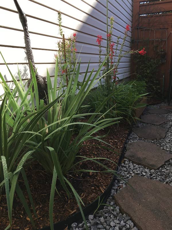 Raindrop Gardening