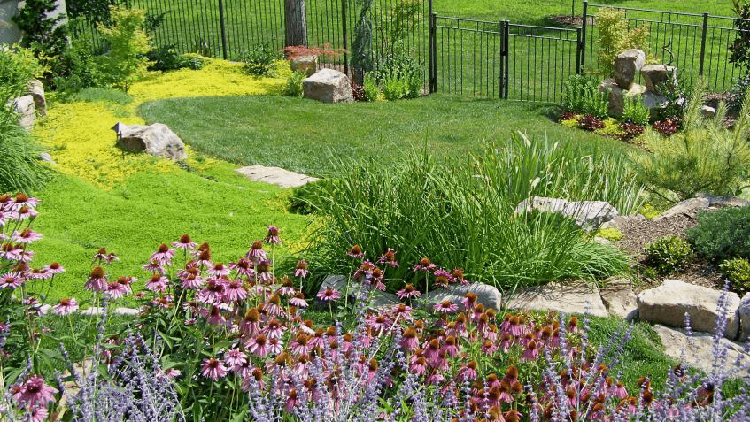 RAJA GARDENING & LANDSCAPING