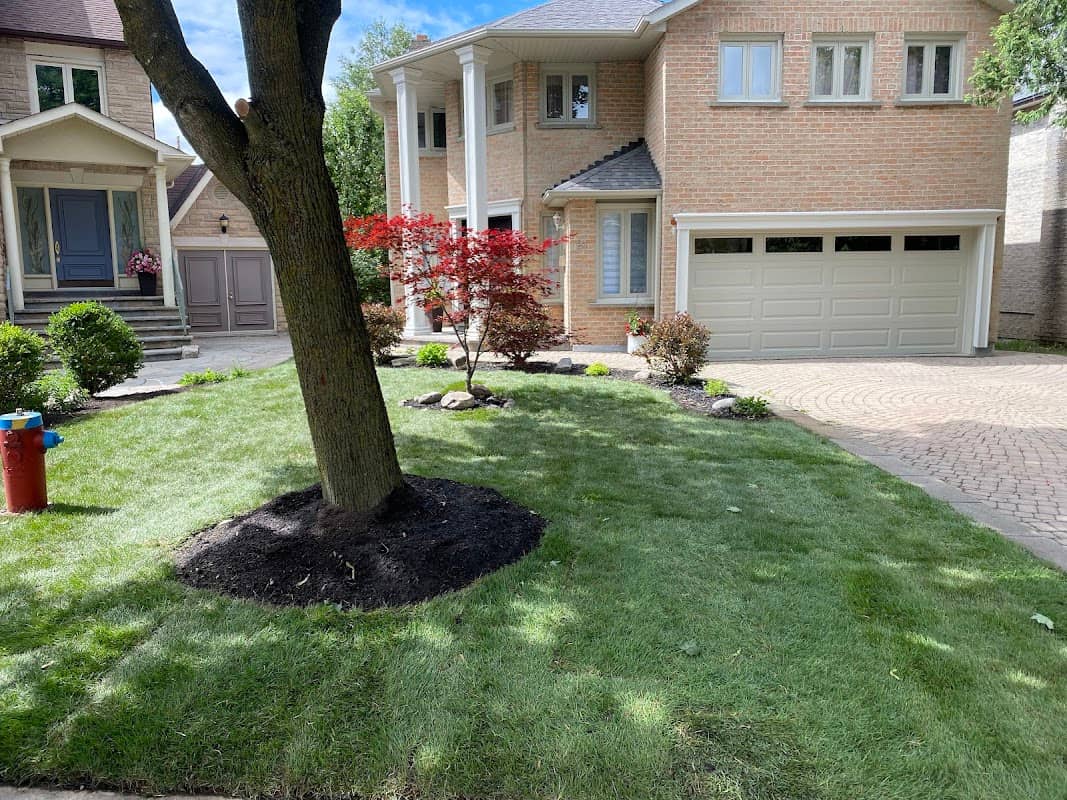 Ravasco Landscaping photo 2