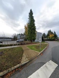 Reliable Landscaping ltd photo 3