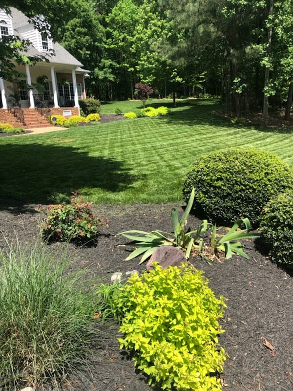 Richmond Mowing project photo