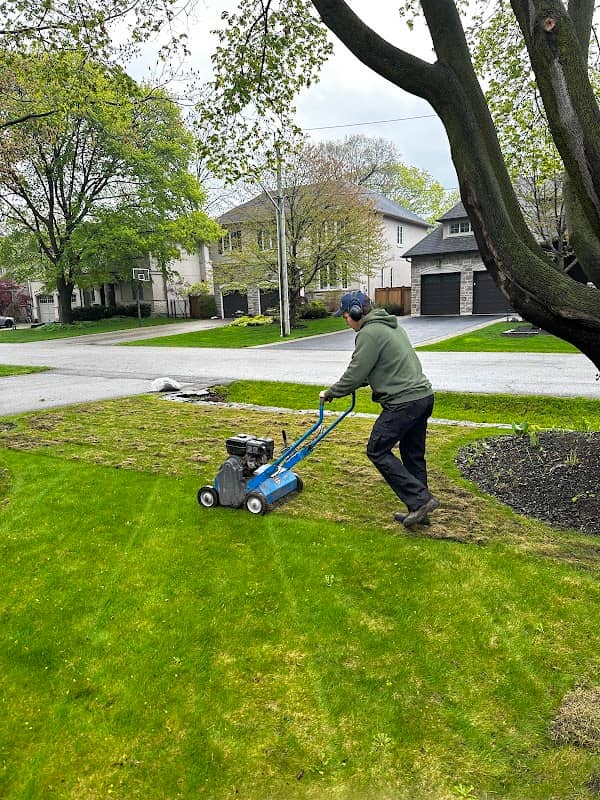 Sharp Edge Landscaping photo 2