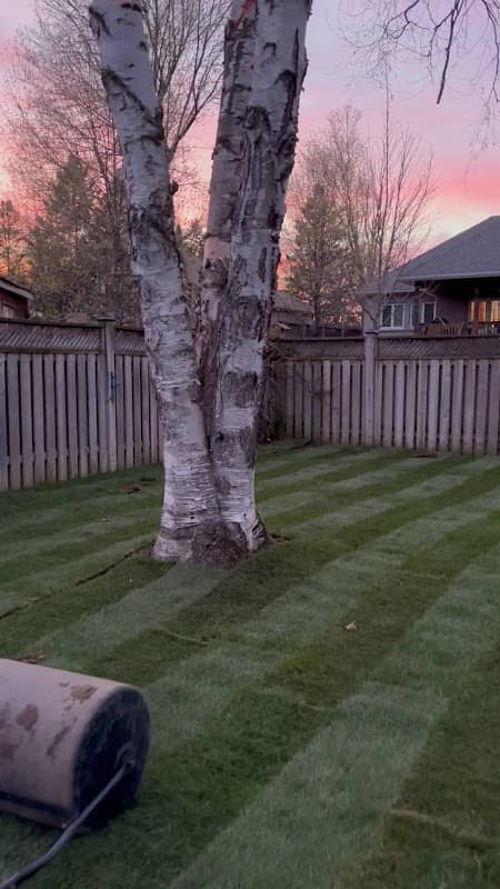 Sidis Construction and Landscaping photo 4