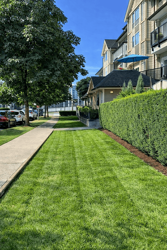 Silence of the Lawns Landscaping Inc. photo 2