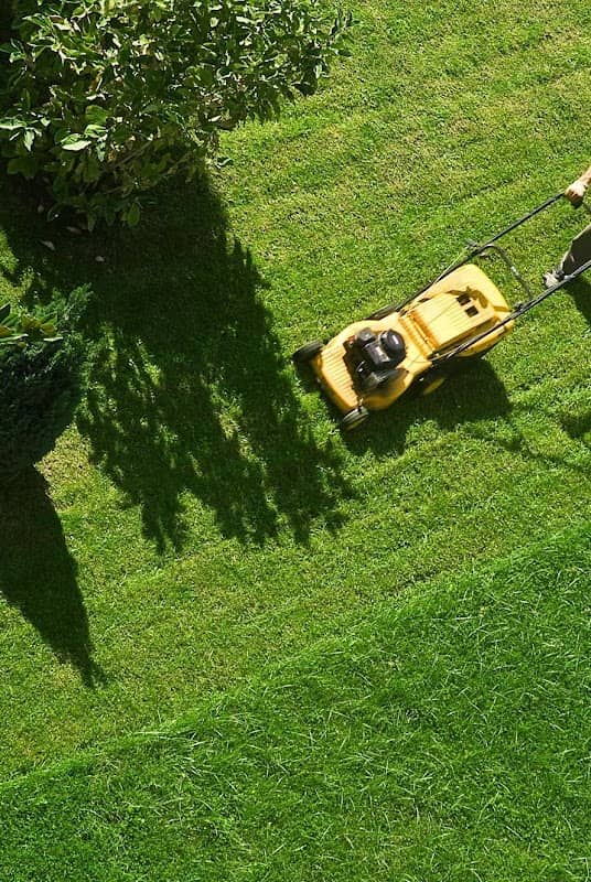 Sk landscaping project photo
