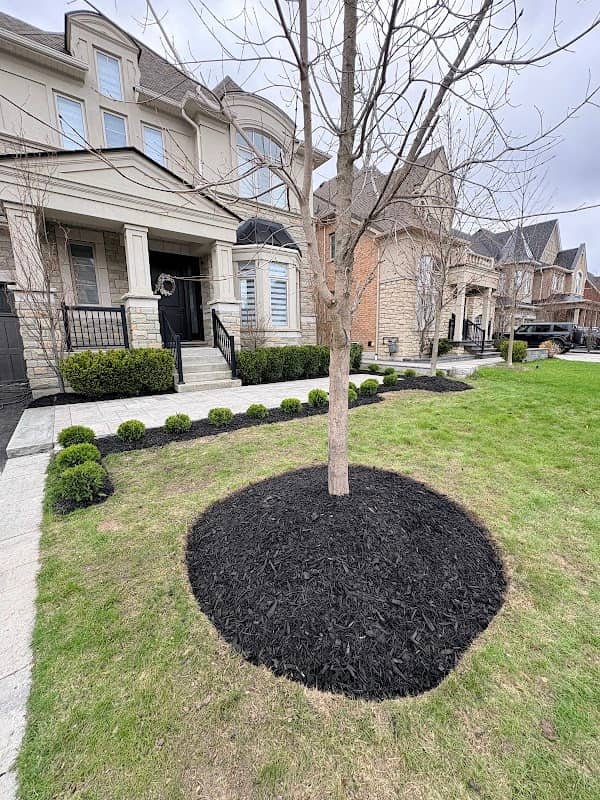 Sk landscaping photo 4