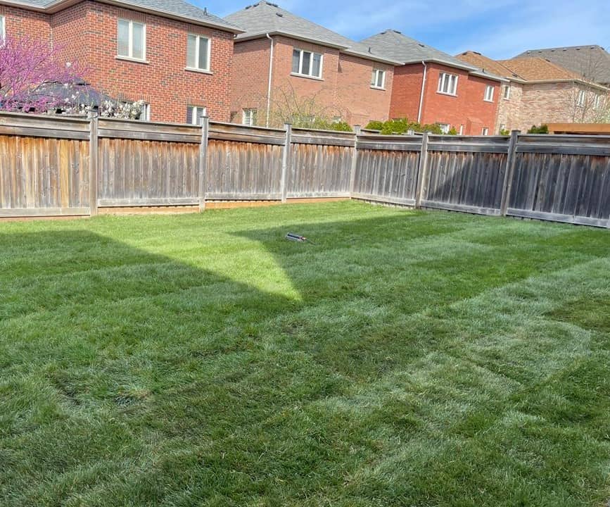 Sod Installation Markham project photo