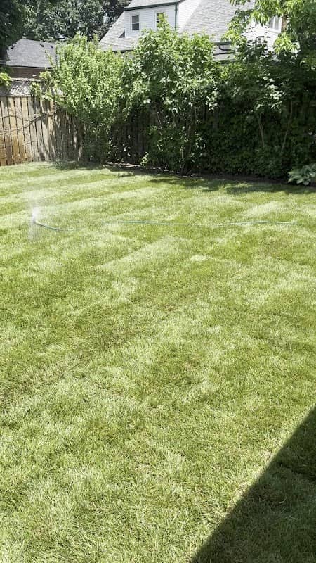 Sodding Canada - Sod Installation & Lawn Replacement photo 3