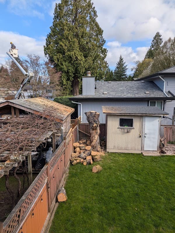Specialized Tree Care photo 3