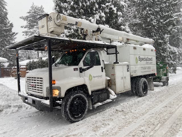 Specialized Tree Care photo 4