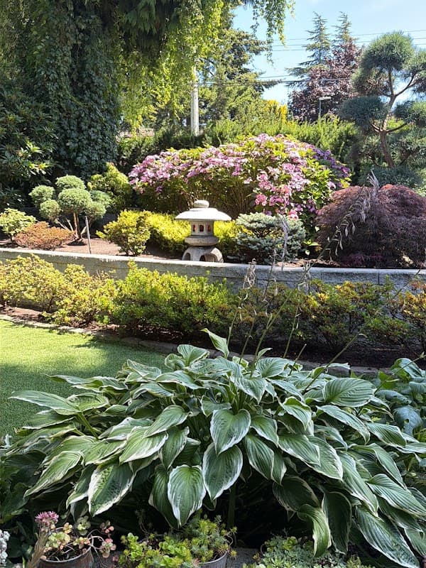 Strongbacks Landscaping photo 2