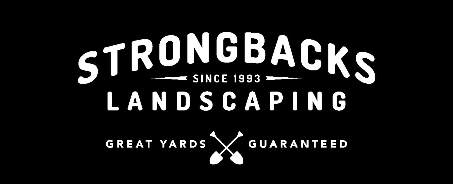 Strongbacks Landscaping photo 5