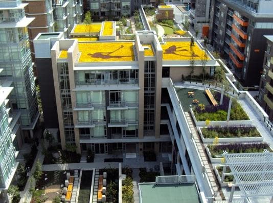 T. Moscone & Bros. Landscaping Ltd. photo 2