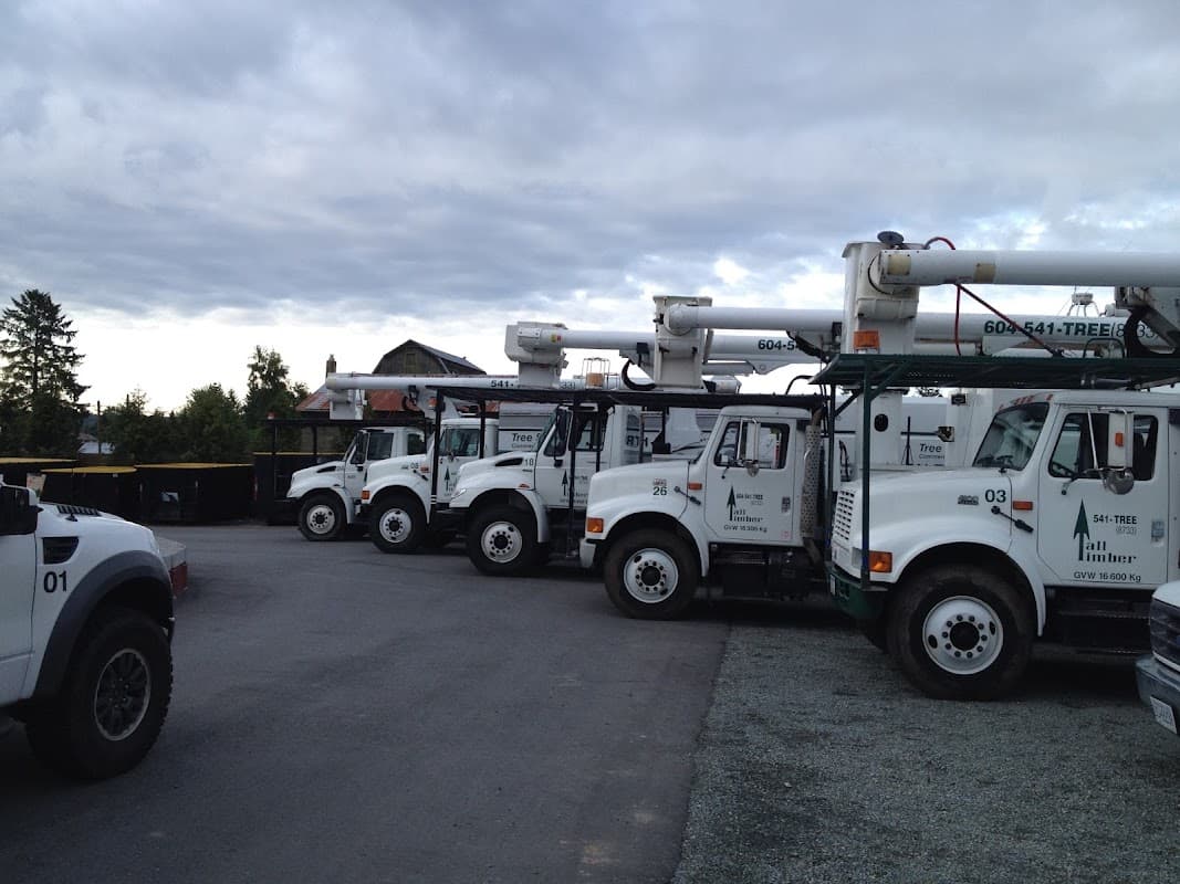 TALL TIMBER TREE SERVICES LTD. project photo