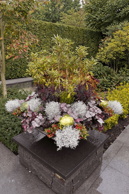 Tea Tree Gardens project photo