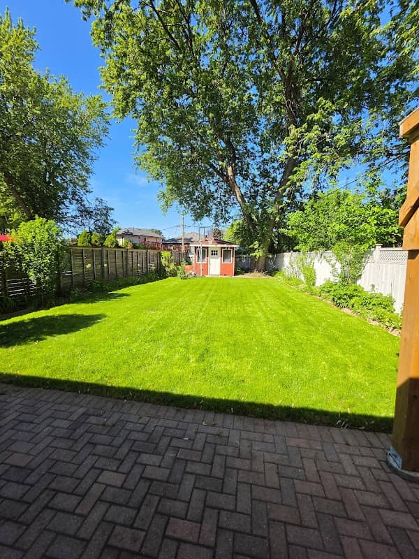 The Garden Boy: Lawn Maintenance Scarborough photo 2