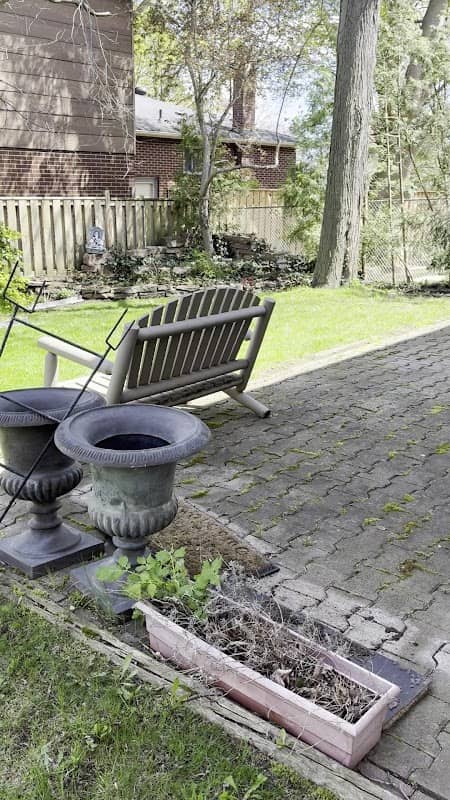 The Garden Boy: Lawn Maintenance Scarborough photo 3