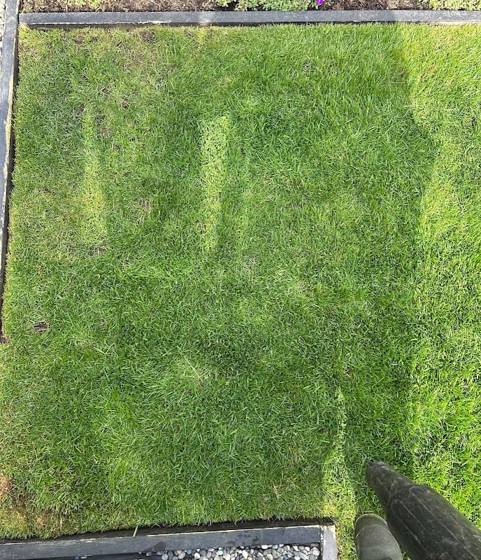 The Vancouver Lawn Care Crew photo 3