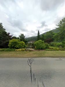 Timmermans Landscaping photo 4
